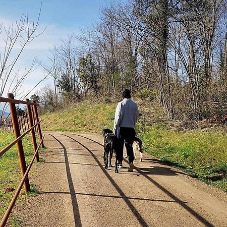 Mas Els Plans La casa pensada para perros que viajan con sus humanos Olot Exterior foto
