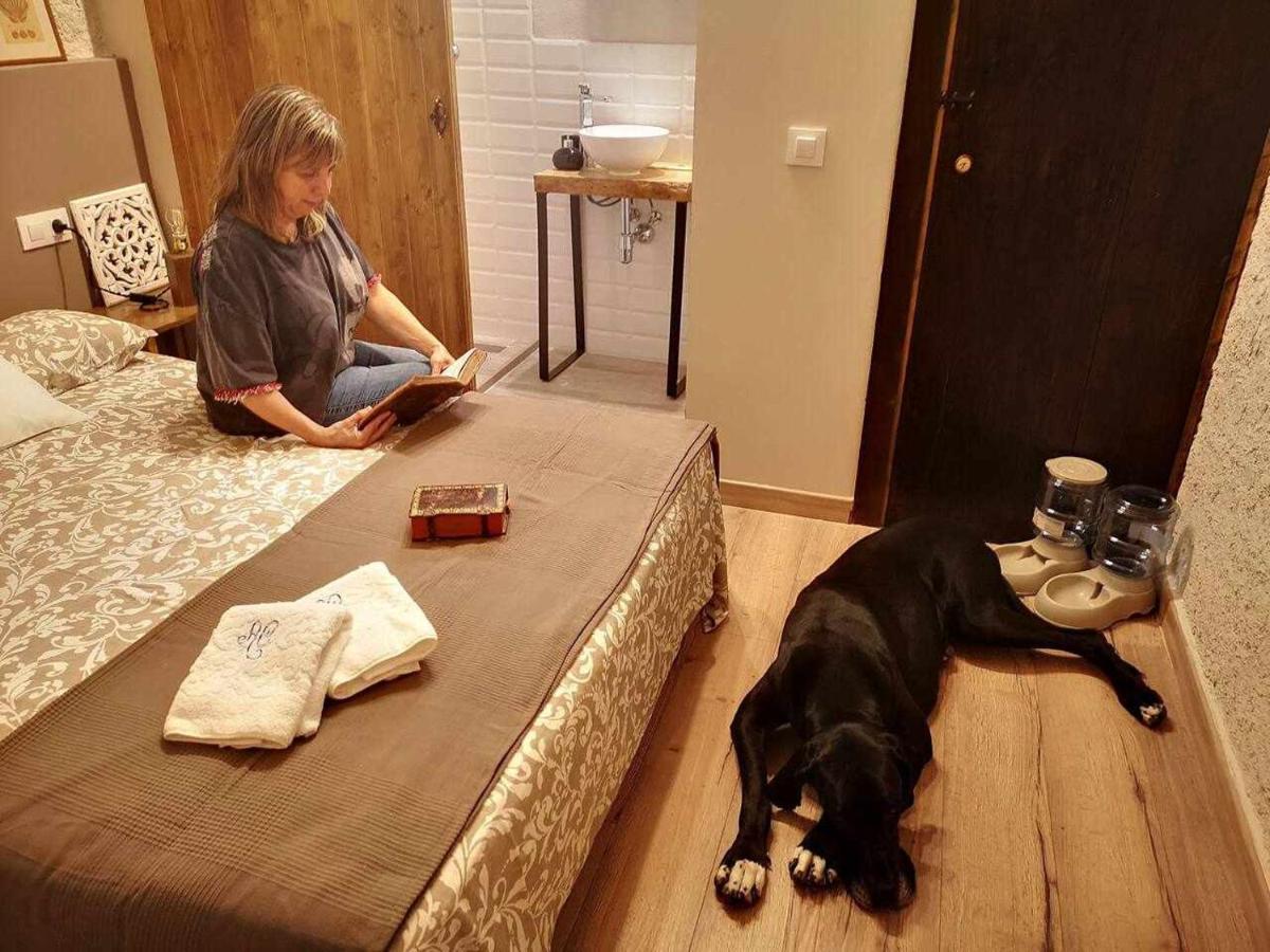 Mas Els Plans La casa pensada para perros que viajan con sus humanos Olot Exterior foto
