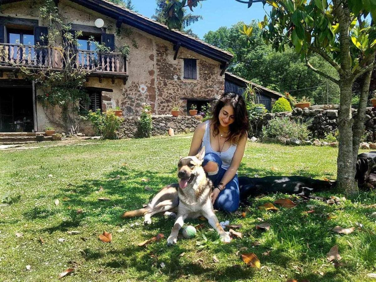 Mas Els Plans La casa pensada para perros que viajan con sus humanos Olot Exterior foto