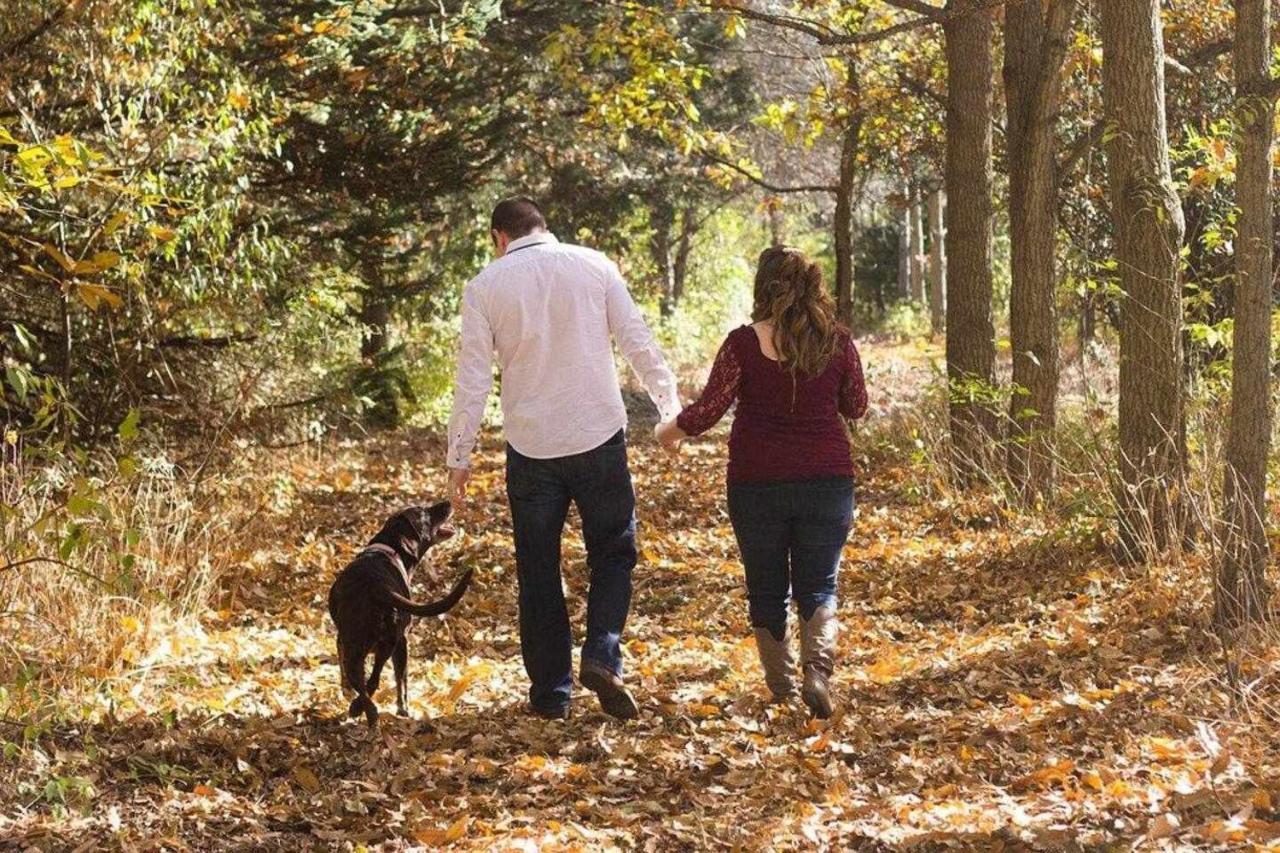 Mas Els Plans La casa pensada para perros que viajan con sus humanos Olot Exterior foto