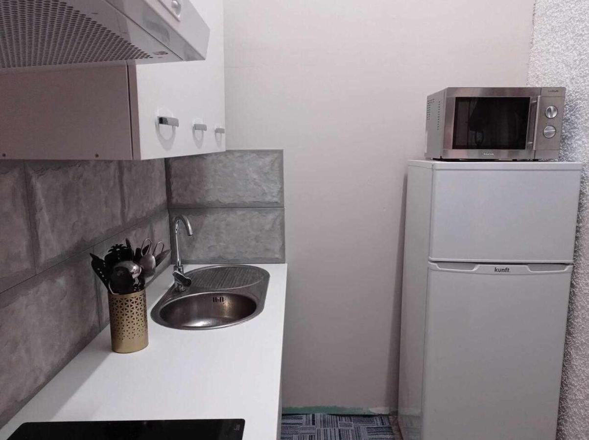 Mas Els Plans La casa pensada para perros que viajan con sus humanos Olot Exterior foto
