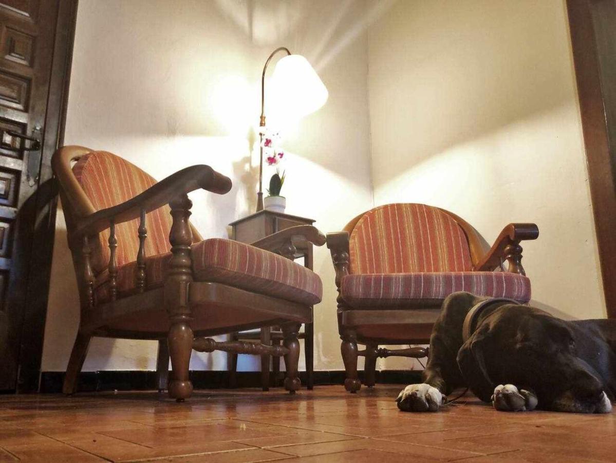 Mas Els Plans La casa pensada para perros que viajan con sus humanos Olot Exterior foto