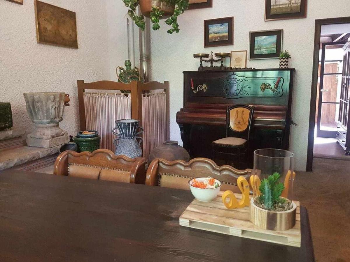 Mas Els Plans La casa pensada para perros que viajan con sus humanos Olot Exterior foto