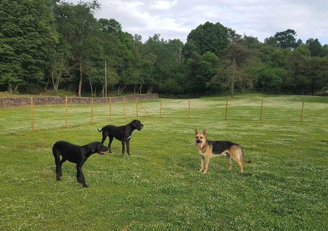 Mas Els Plans La casa pensada para perros que viajan con sus humanos Olot Exterior foto